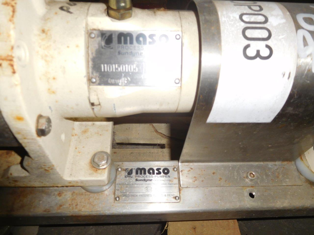  Rotary Pump 1 m3/h (4.4 GPM) Stainless Steel 316 For Sale - IPP# 214786