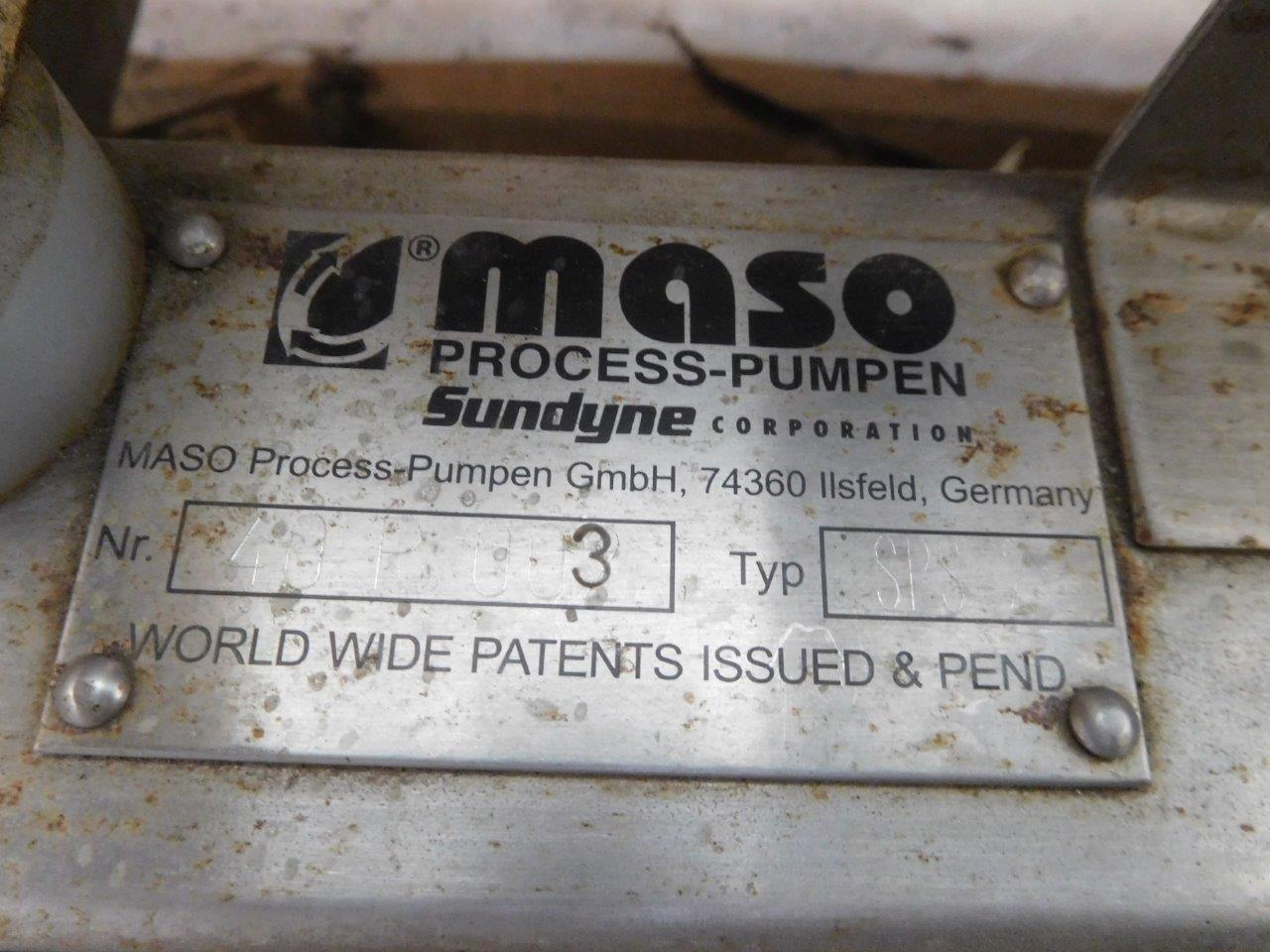  Rotary Pump 1 m3/h (4.4 GPM) Stainless Steel 316 For Sale - IPP# 214786