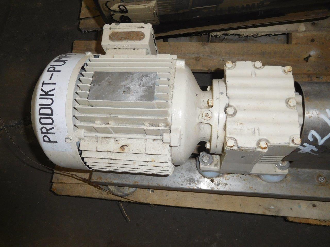  Rotary Pump 1 m3/h (4.4 GPM) Stainless Steel 316 For Sale - IPP# 214786
