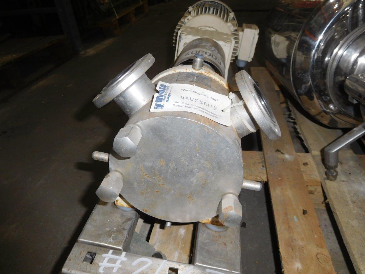  Rotary Pump 1 m3/h (4.4 GPM) Stainless Steel 316 For Sale - IPP# 214786