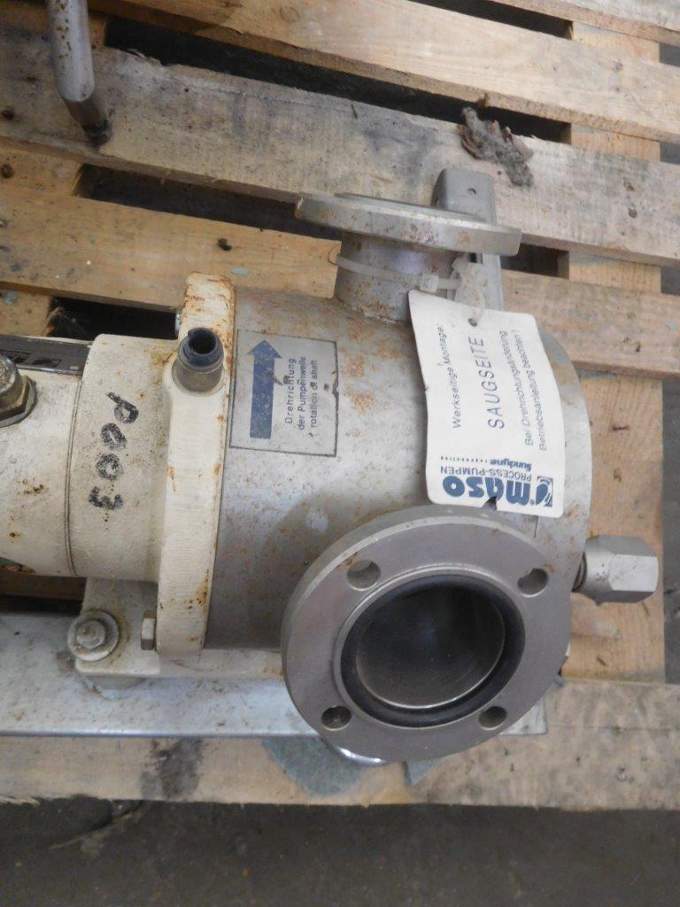  Rotary Pump 1 m3/h (4.4 GPM) Stainless Steel 316 For Sale - IPP# 214786