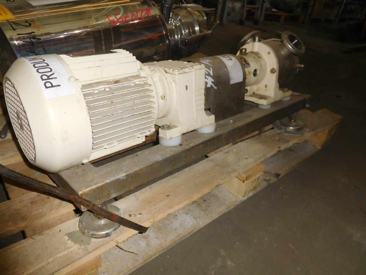  Rotary Pump 1 m3/h (4.4 GPM) Stainless Steel 316 For Sale - IPP# 214786
