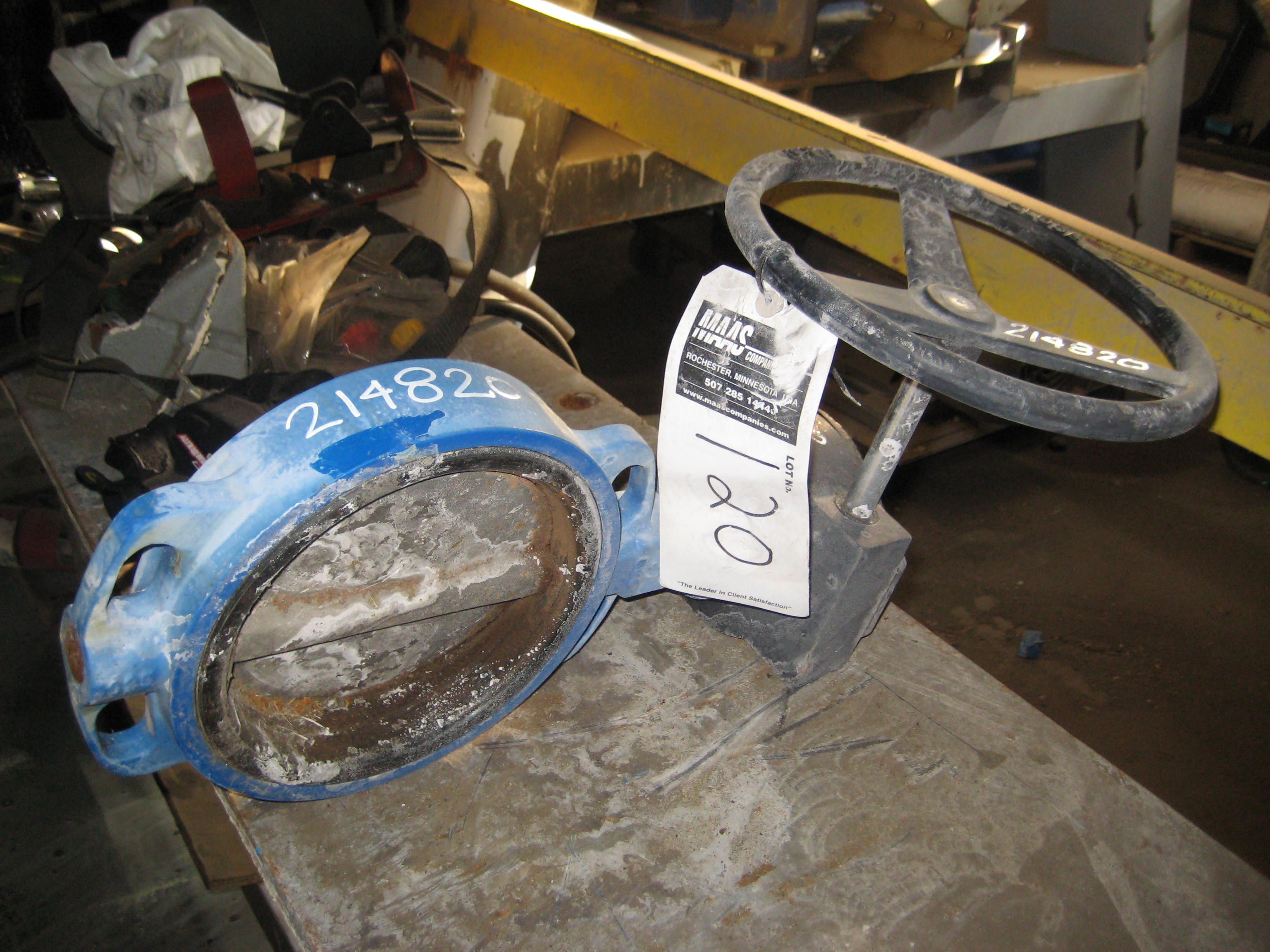 Unused Butterfly Valve  Carbon Steel For Sale - IPP# 214819