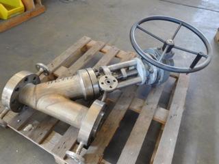 Stainless Steel 316 Gate Valve