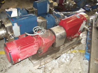 Duplex Rotary Pump