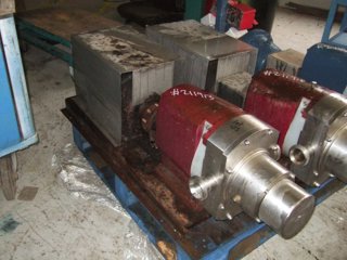 Stainless Steel Other Rotary Pump