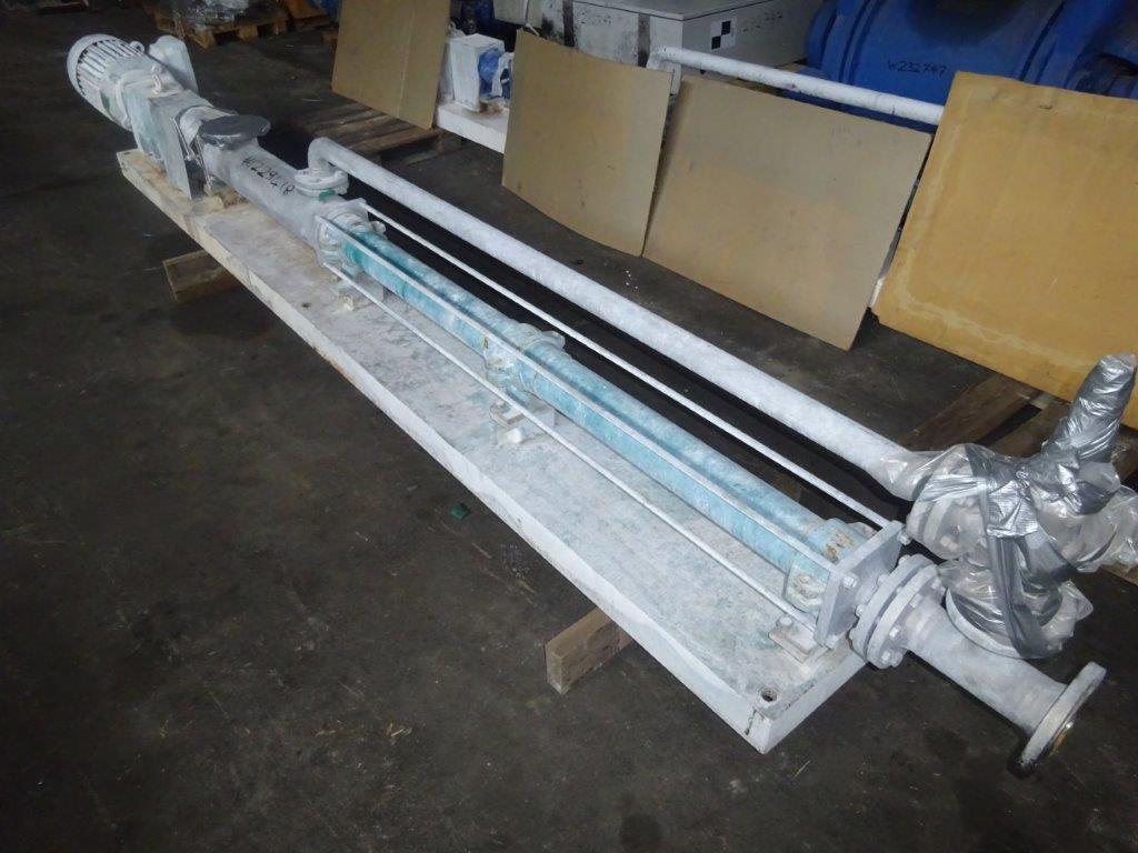  Rotary Pump 10 m3/h (44 GPM) Stainless Steel 316 For Sale - IPP# 229418