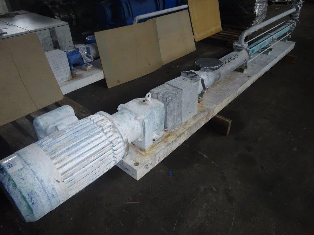  Rotary Pump 10 m3/h (44 GPM) Stainless Steel 316 For Sale - IPP# 229418