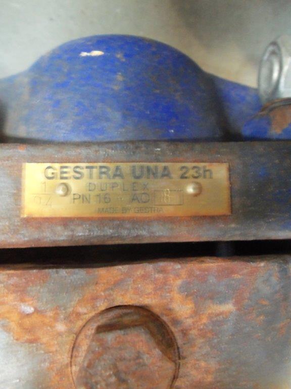  Packed Column 300 mm (11.8 in)  For Sale - IPP# 220456
