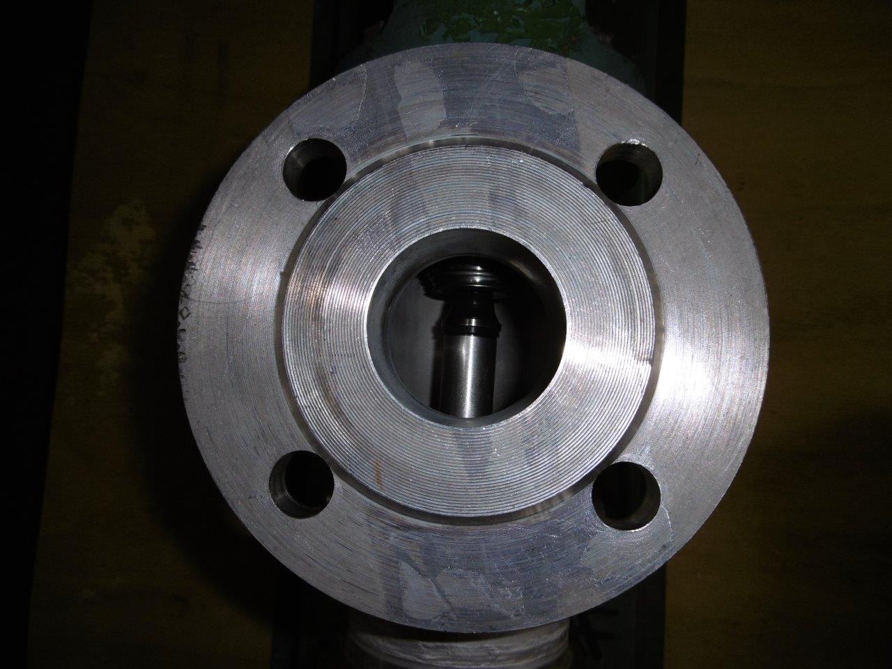  Rotary Pump 2 m3/h (8.8 GPM) Stainless Steel Austenitic For Sale - IPP# 220429