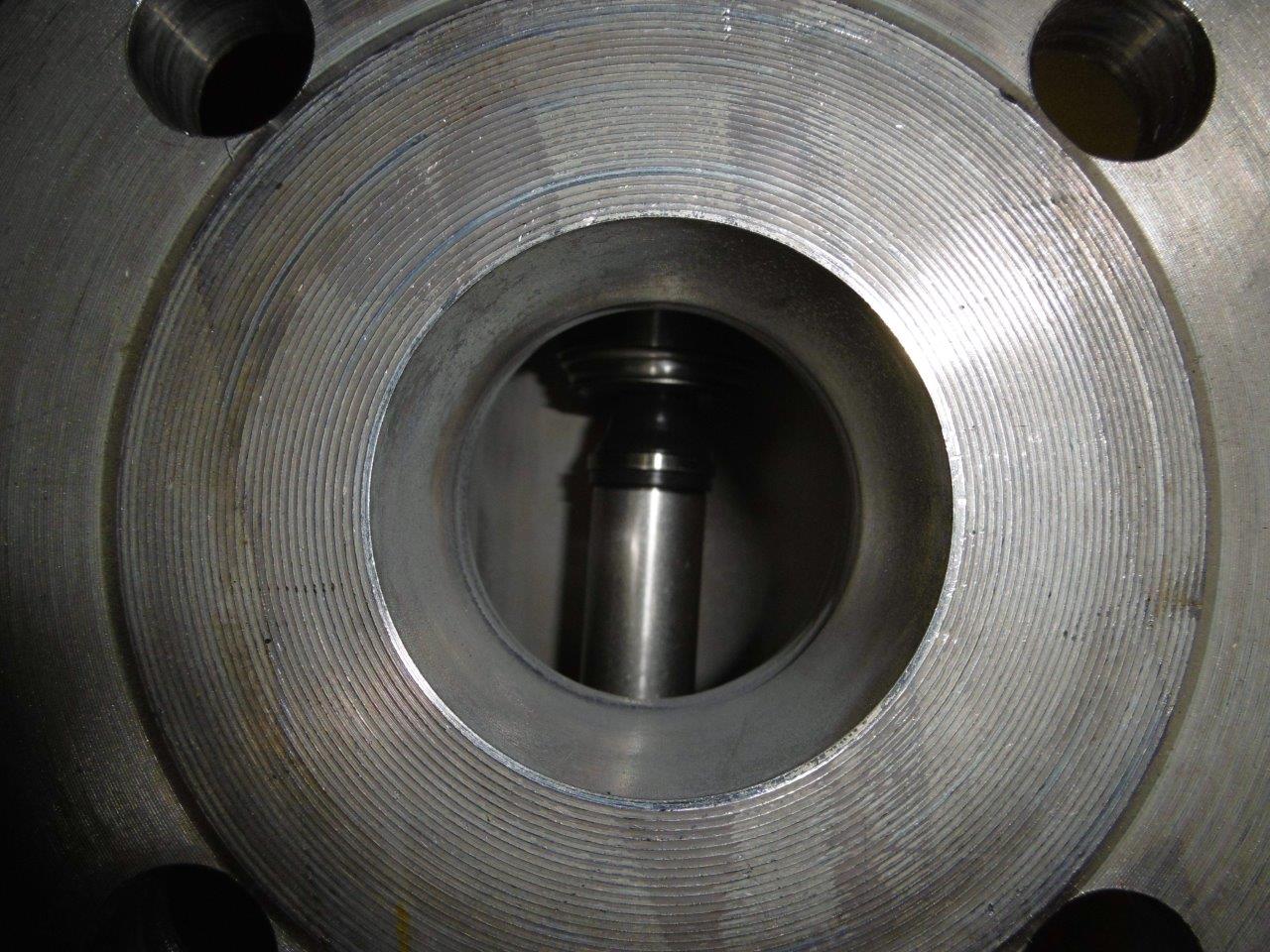  Rotary Pump 2 m3/h (8.8 GPM) Stainless Steel Austenitic For Sale - IPP# 220429