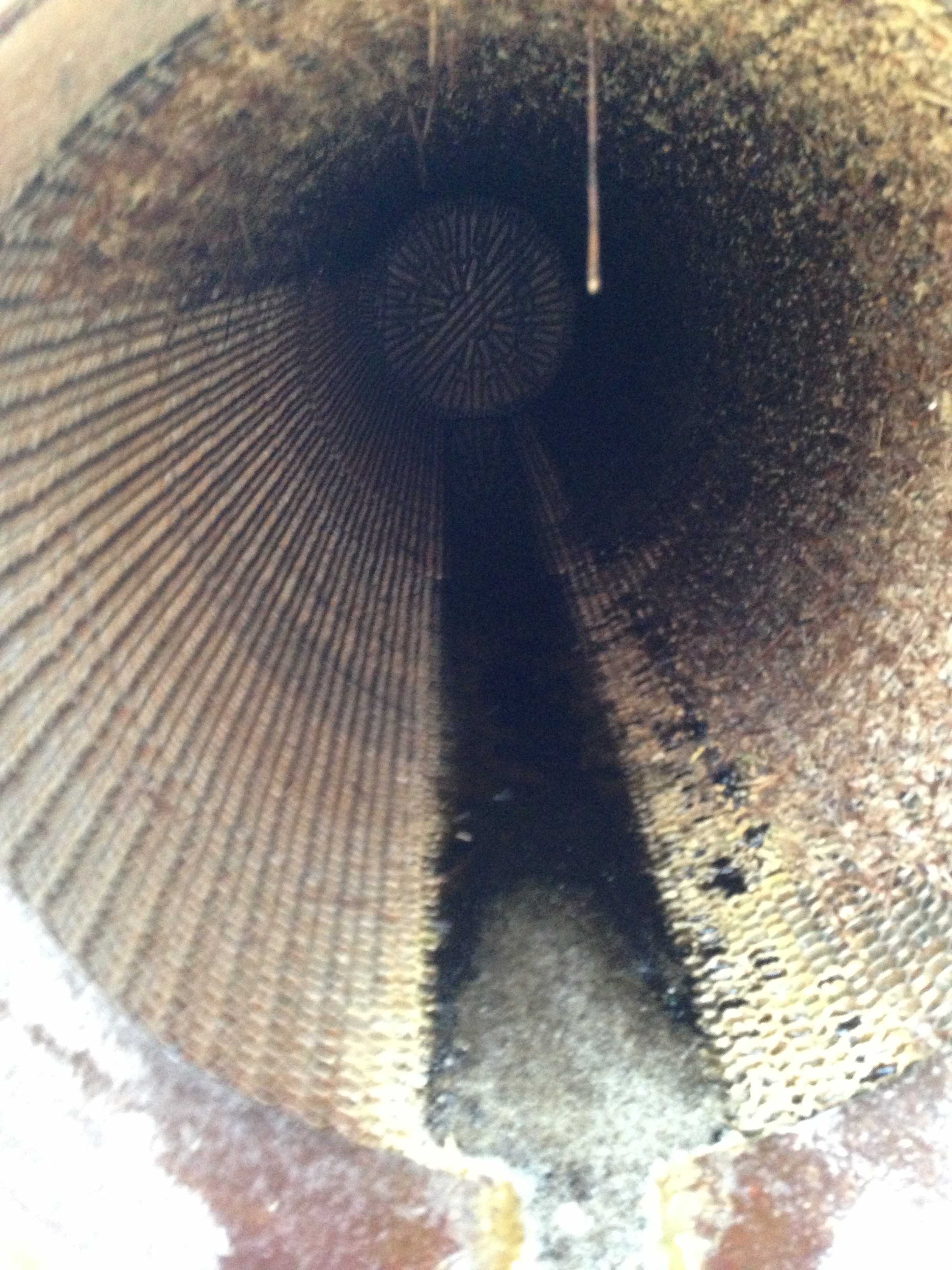 Titanium Plate and Frame Heat Exchanger - IPP# 221365