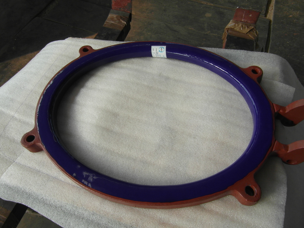  Pro-Ring Glass Lined Parts  Glasslined For Sale - IPP# 222185