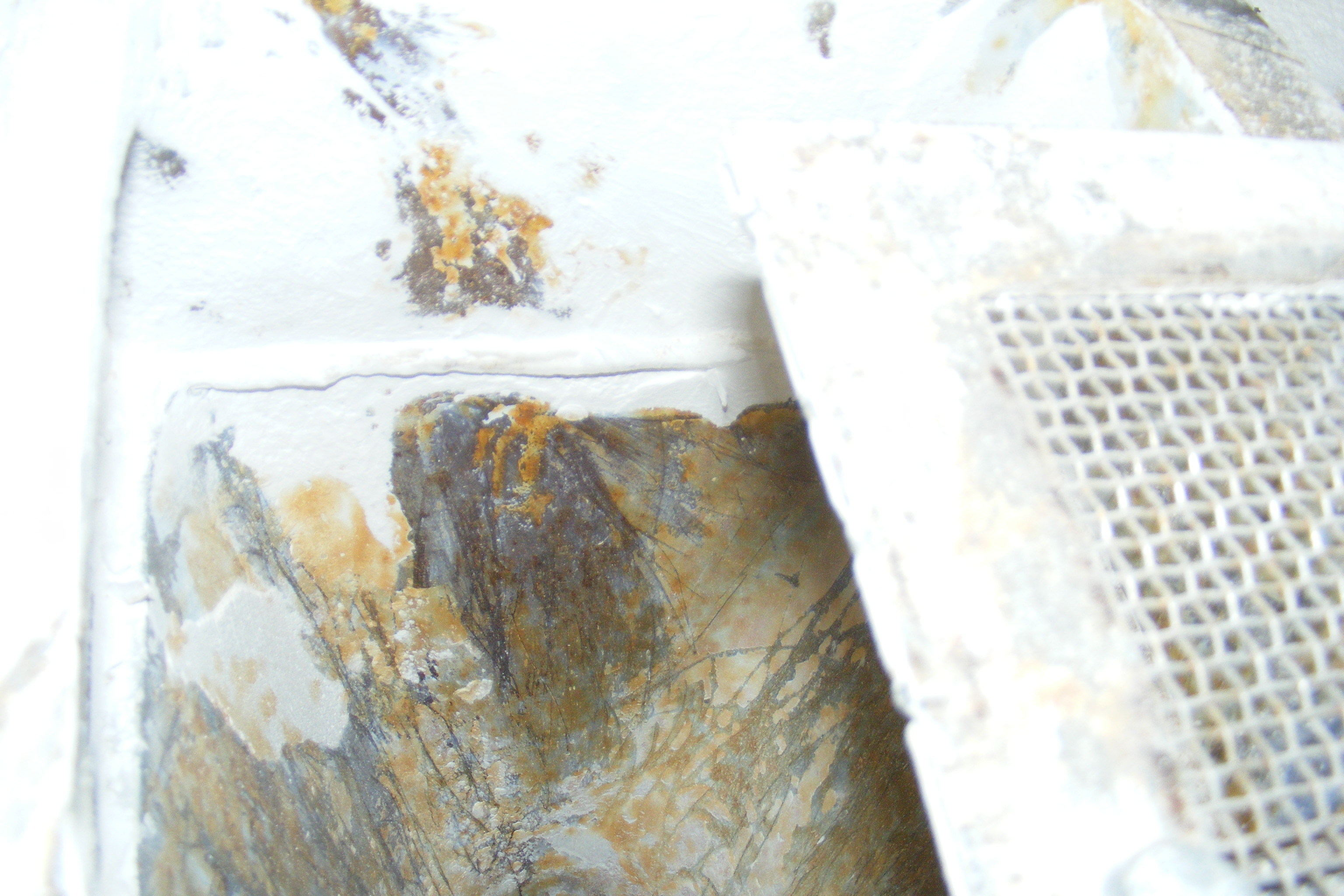  Jet Pulverizer 90 kW (120.7 HP) Stainless Steel Other For Sale - IPP# 222679