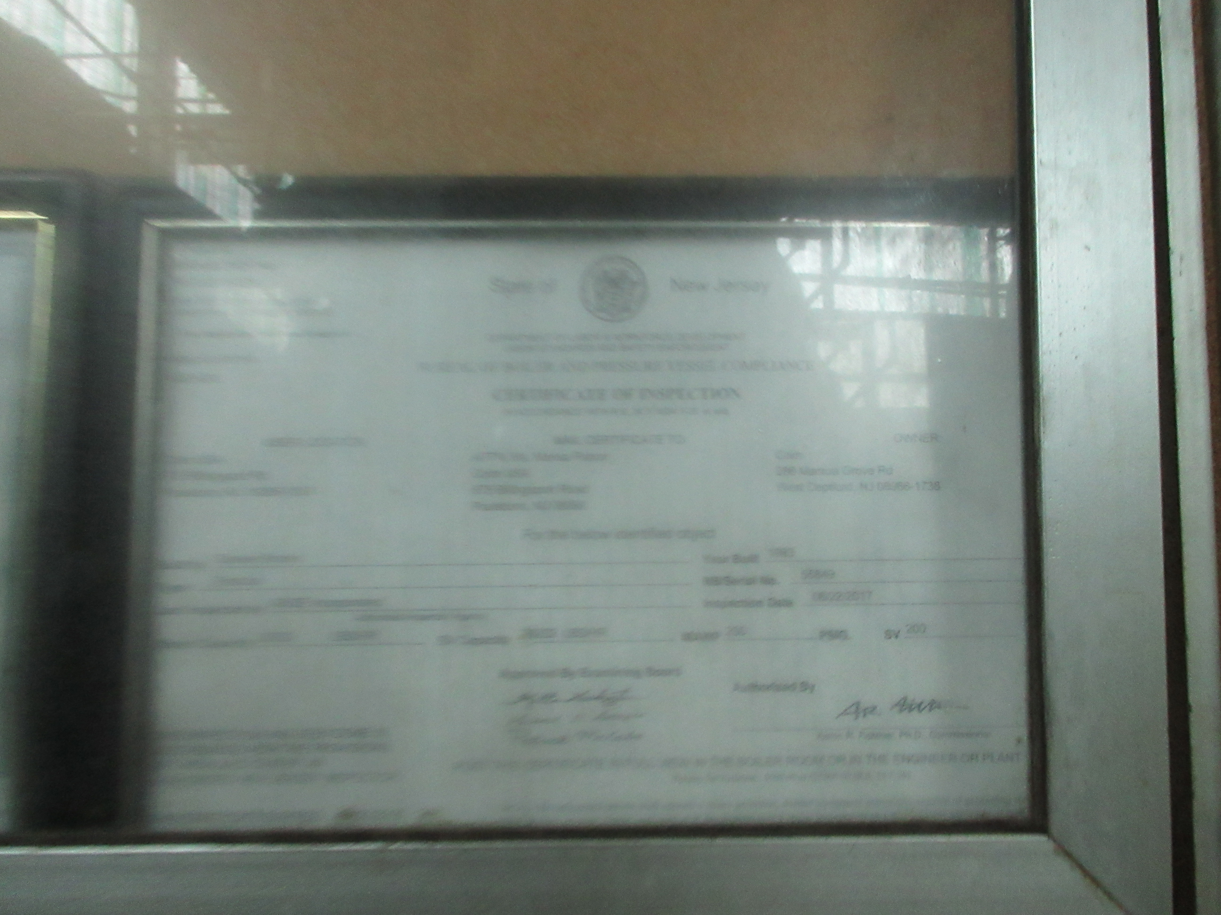 First Thermal Systems 200-4-2-HHC-PF-G-IRI-H4 3.24 mm/BTU Hot Oil Boiler - IPP# 245588