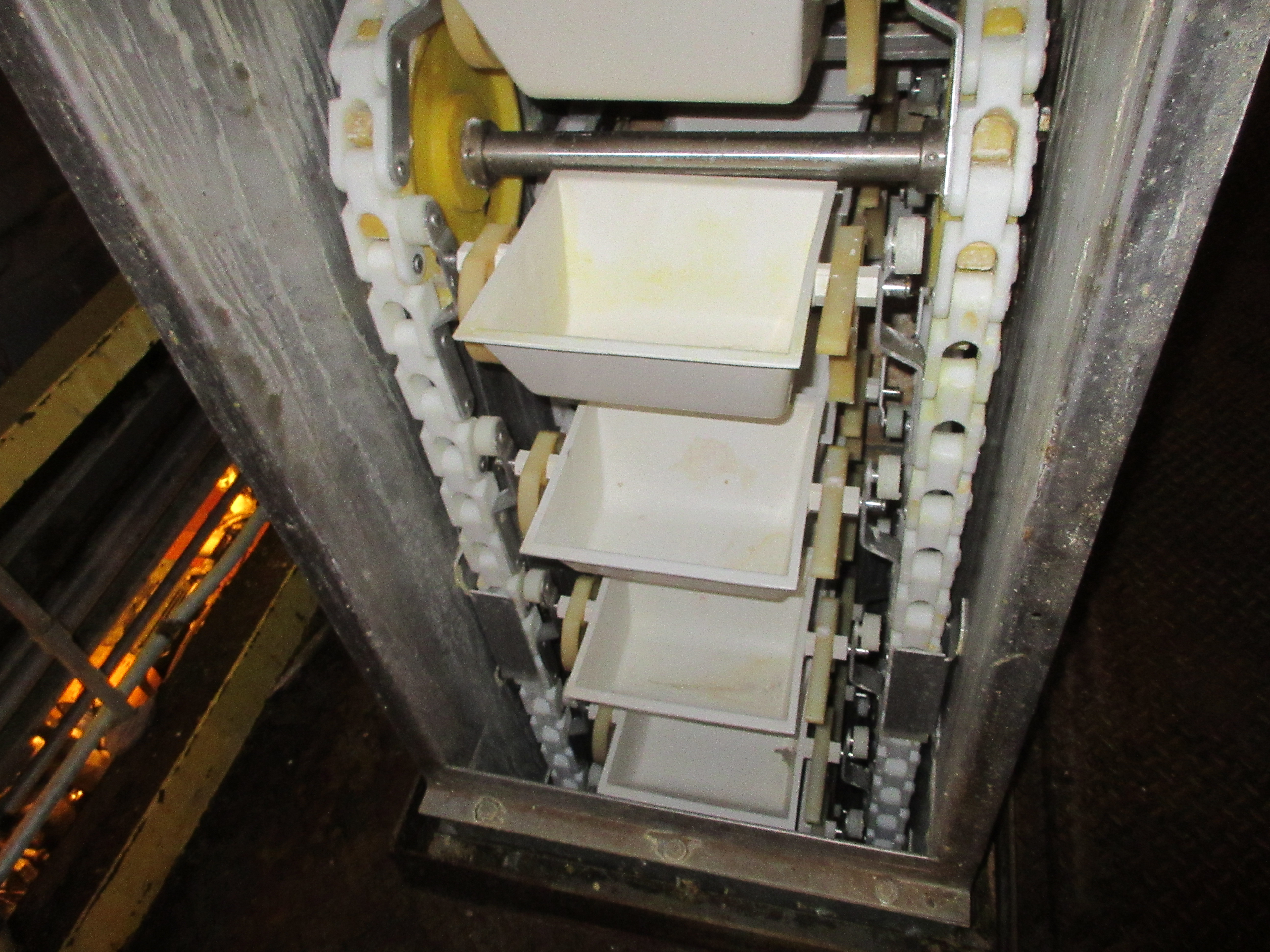  Bucket elevator Conveyor 635 mm (25 in) Stainless Steel 304 For Sale - IPP# 246735