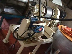   Dryer-Flaker Drum and Belt 300 mm (11.8 in)  For Sale - IPP# 704614