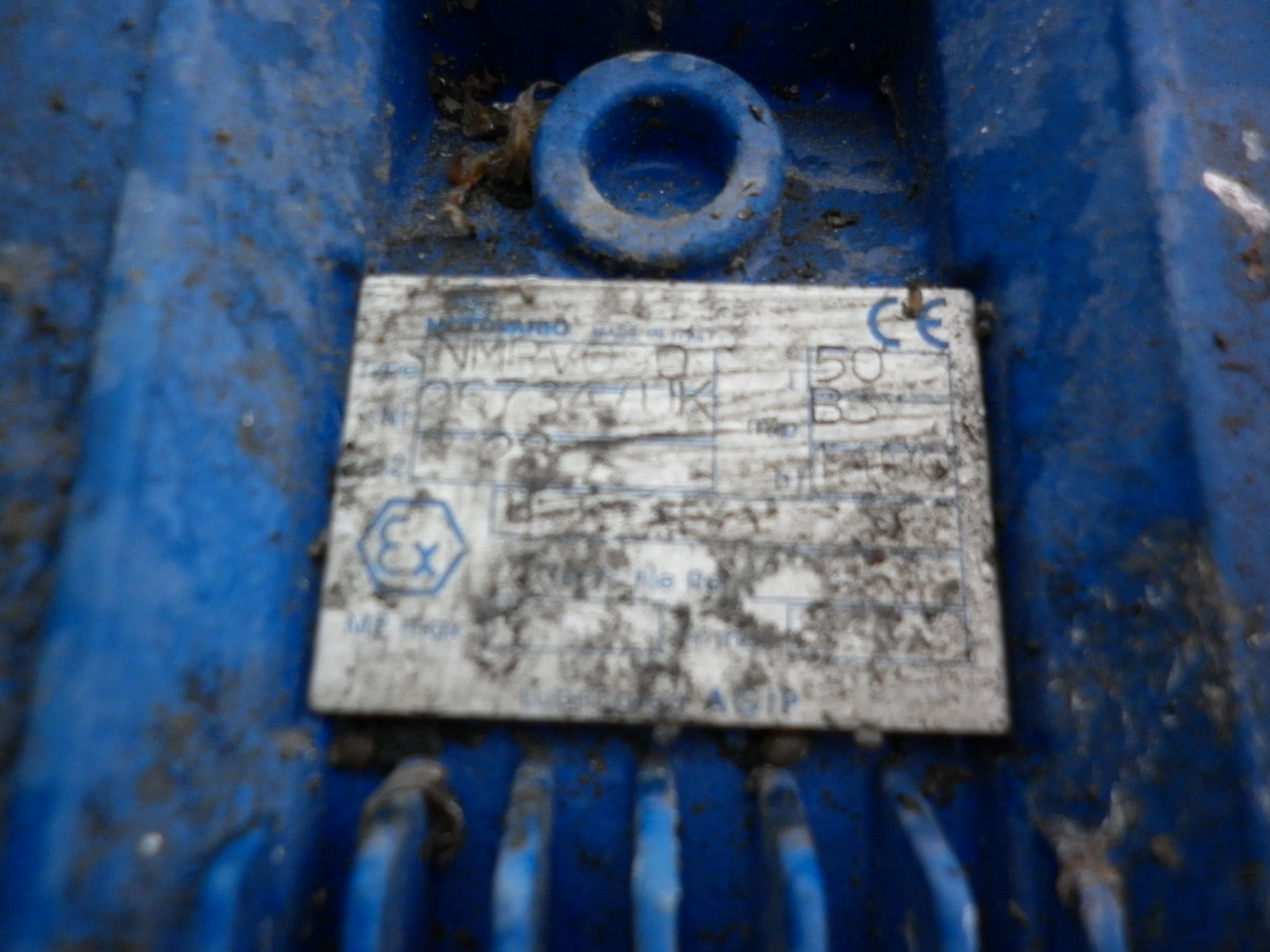  Belt Conveyor 400 mm (15.7 in)  For Sale - IPP# 706644