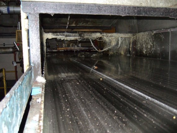   Dryer-Flaker Drum and Belt 1,500 mm (59.1 in) Stainless Steel Other For Sale - IPP# 706652