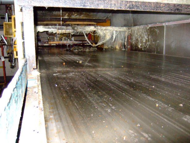   Dryer-Flaker Drum and Belt 1,500 mm (59.1 in) Stainless Steel Other For Sale - IPP# 706652