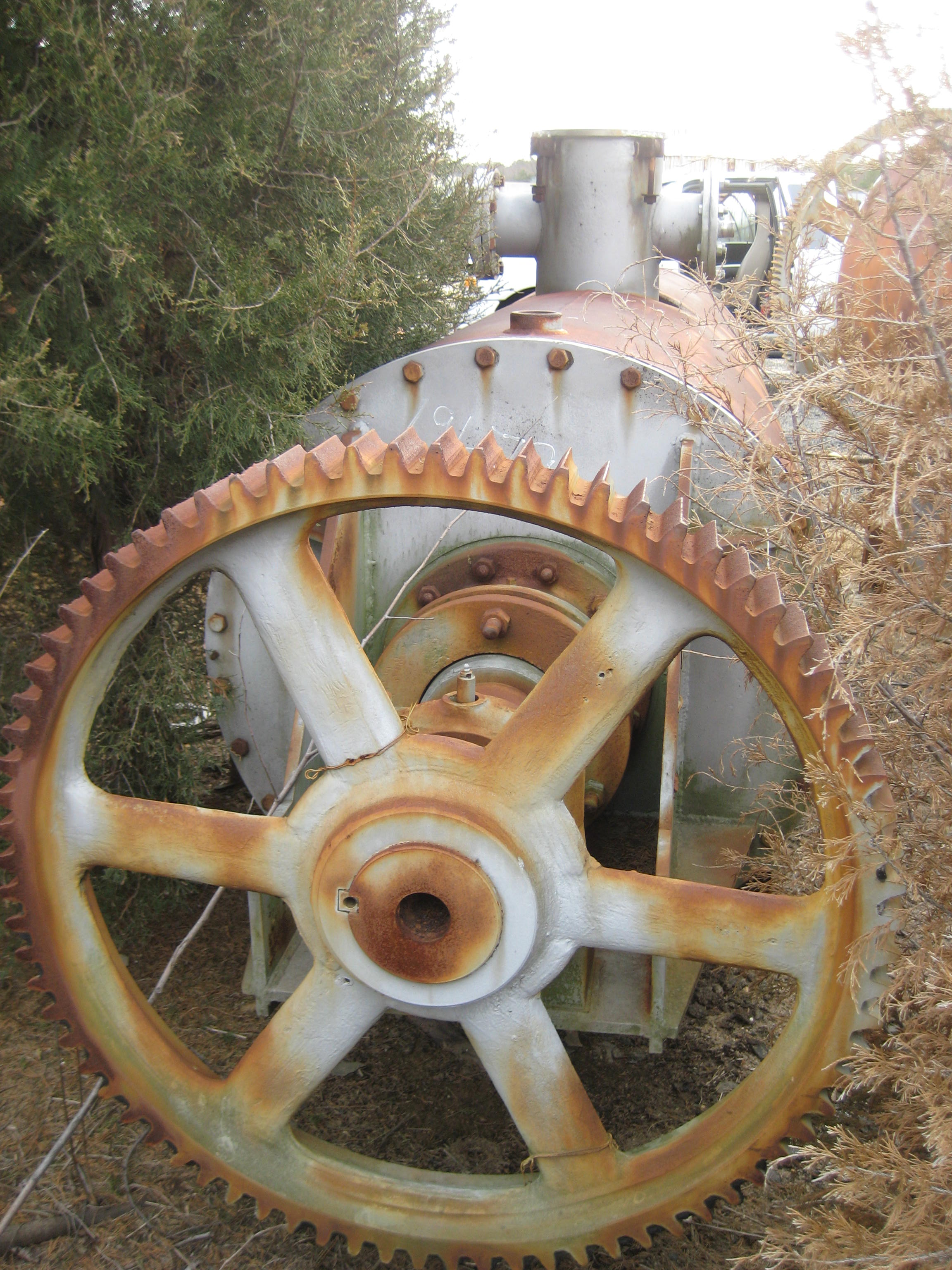   Dryer-Rotary Vacuum 1.56 m3 (55 ft3) Stainless Steel 304 For Sale - IPP# 79679