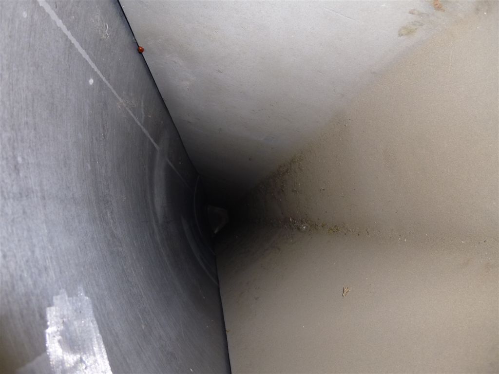  Wiped/Thin Film Evaporator 154.2 kg/h (340 lb/h) Stainless Steel 316 For Sale - IPP# 81577