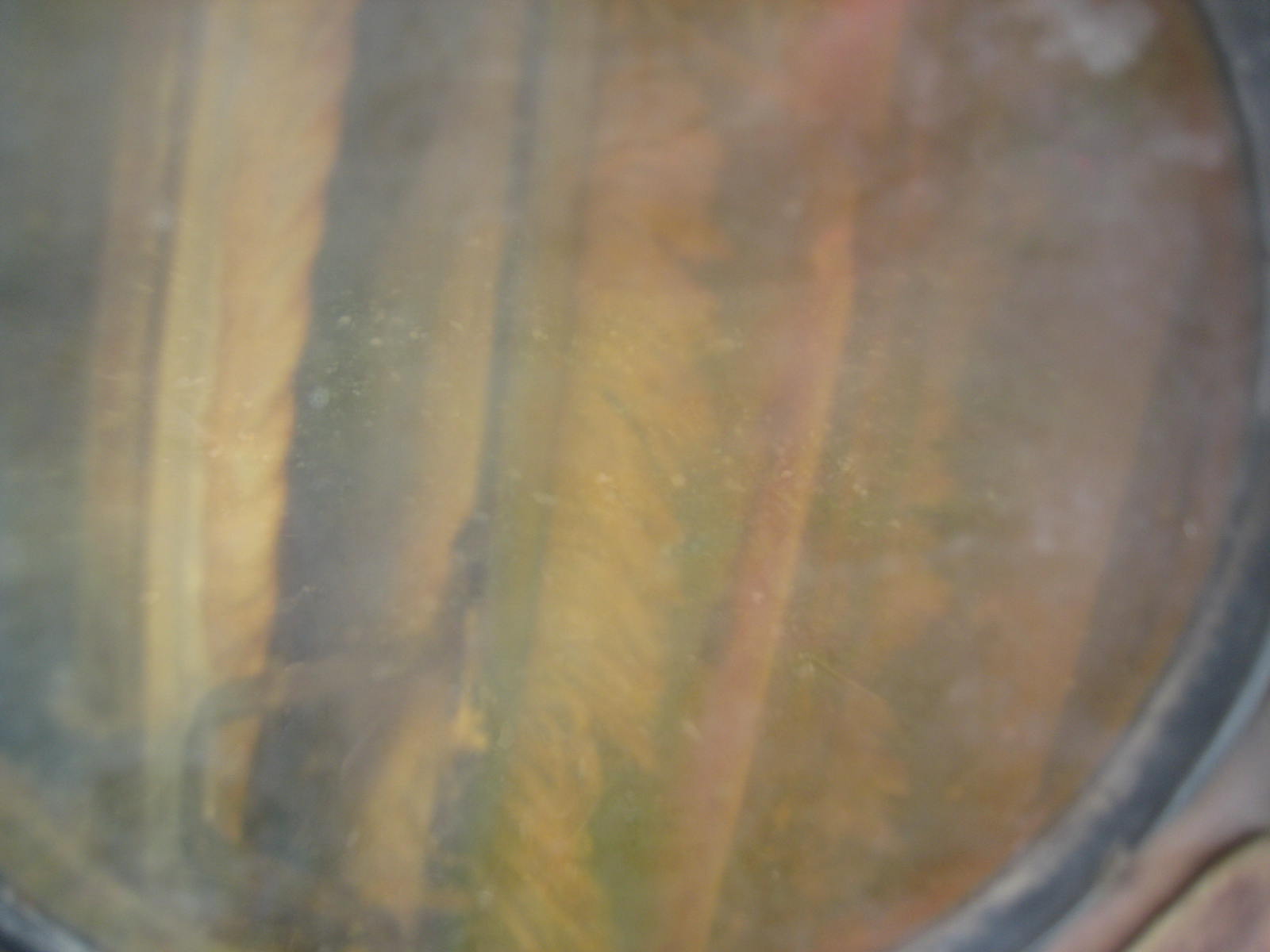  Pressure Leaf Filter 28.8 m² (310 ft²) Stainless Steel 304 For Sale - IPP# 92822