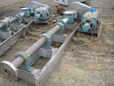  Rotary Pump 11.4 m3/h (50 GPM) Stainless Steel 316 For Sale - IPP# 94607