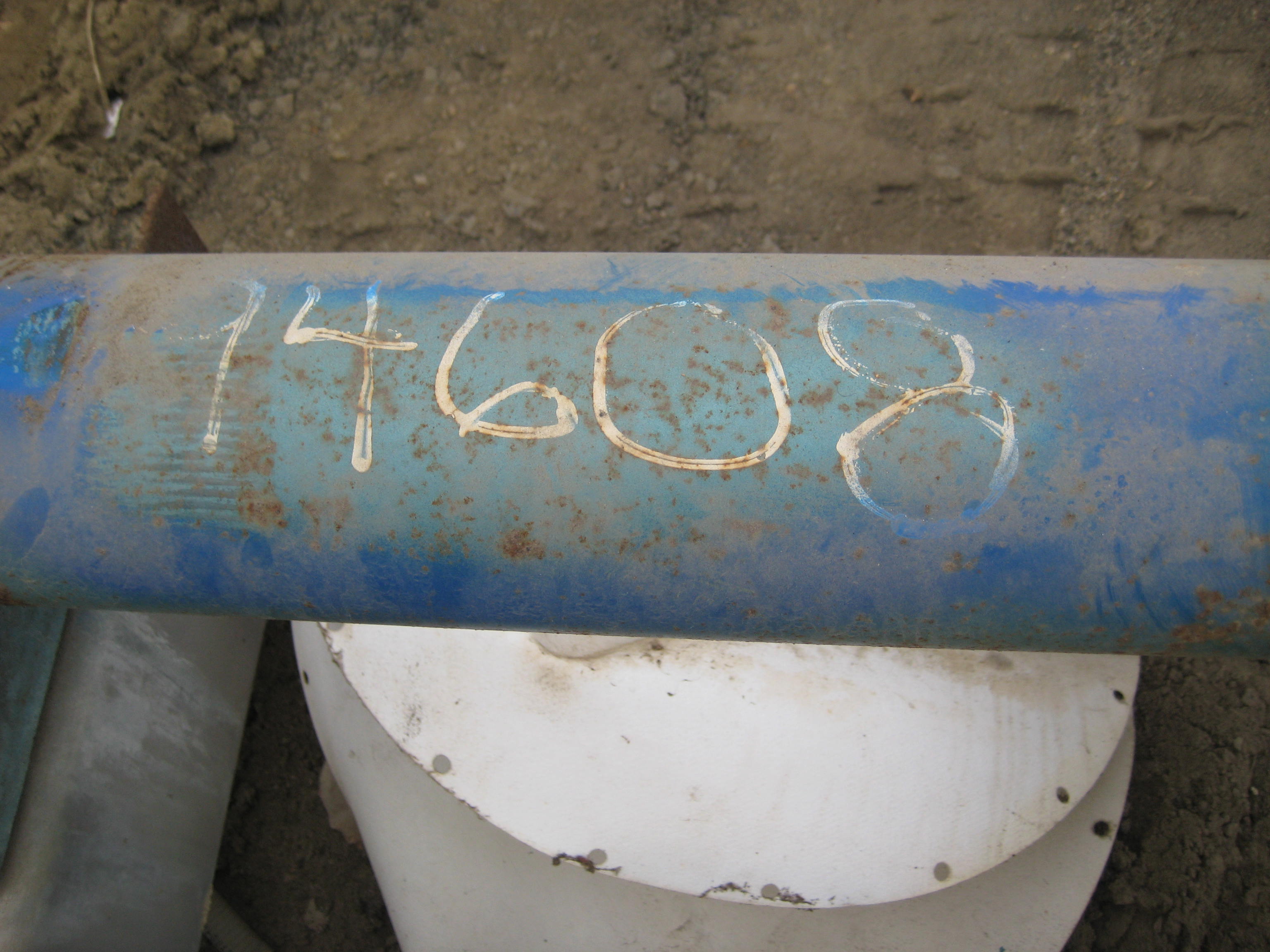  Rotary Pump 11.4 m3/h (50 GPM) Stainless Steel 316 For Sale - IPP# 94608