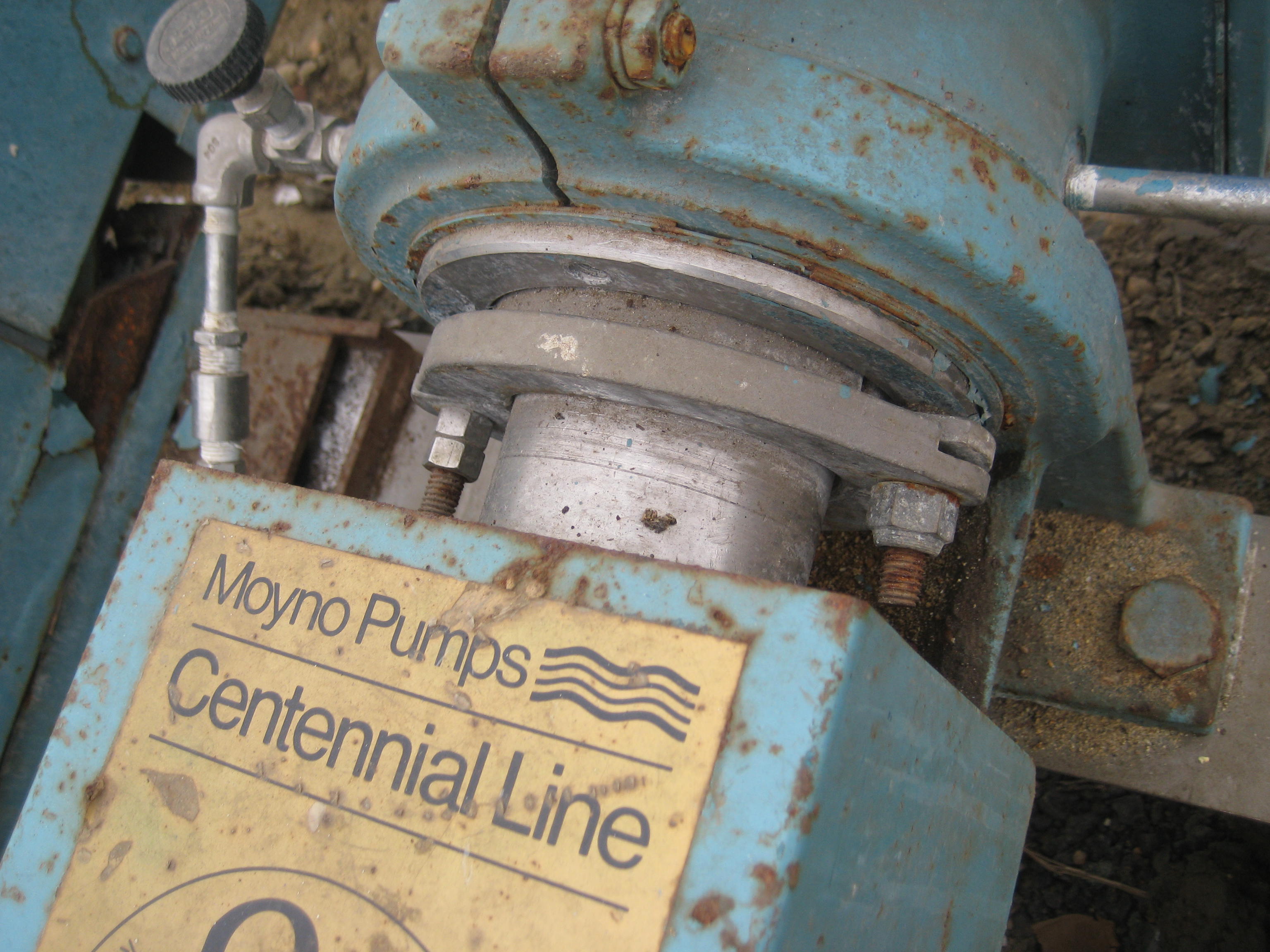  Rotary Pump 11.4 m3/h (50 GPM) Stainless Steel 316 For Sale - IPP# 94608